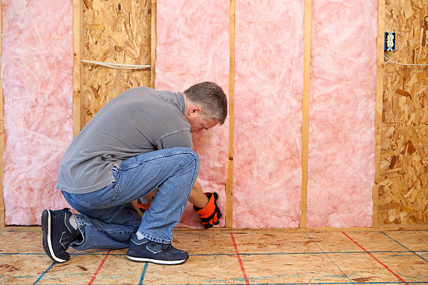 Best Eco-Friendly Insulation in Jessup, MD